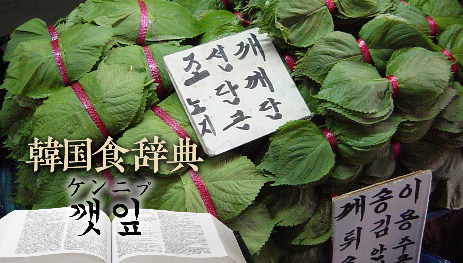 韓国食辞典「えごまの葉」