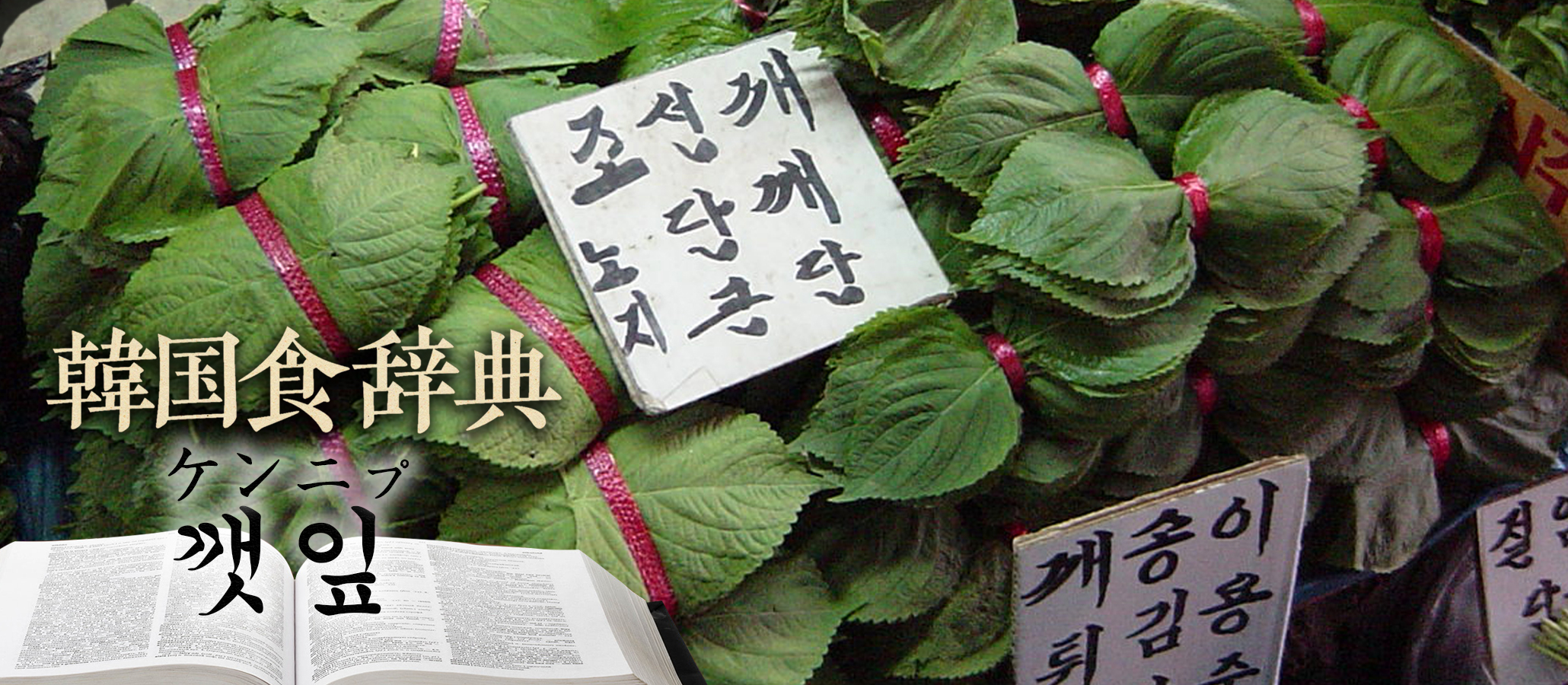 韓国食辞典「えごまの葉」
